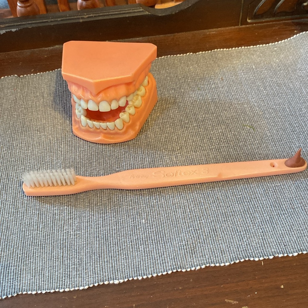 Vintage Py-co-pay Softex 3 Oversized Educational Toothbrush and Teeth